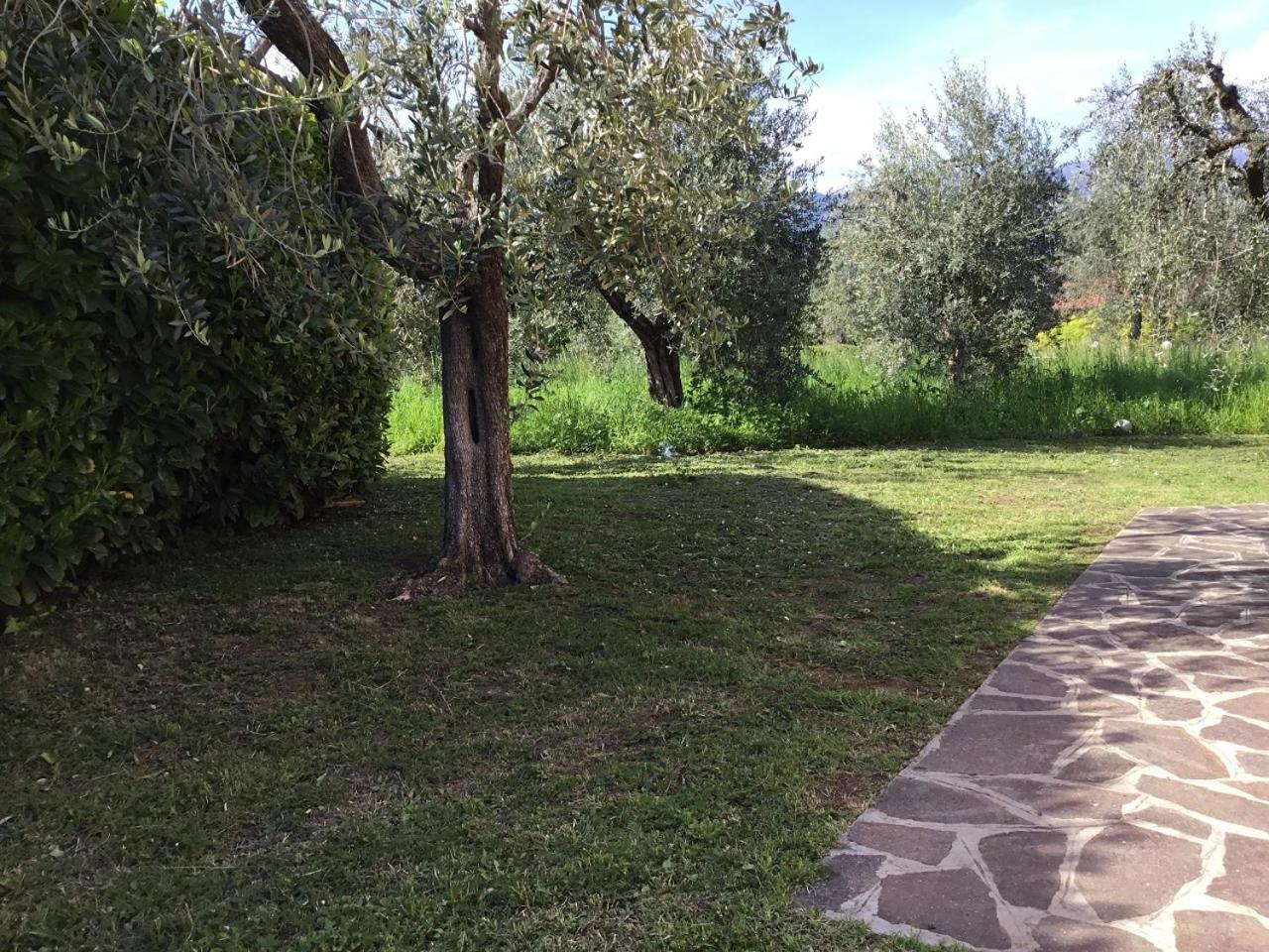 Bio Foresteria Manerba del Garda Exterior foto