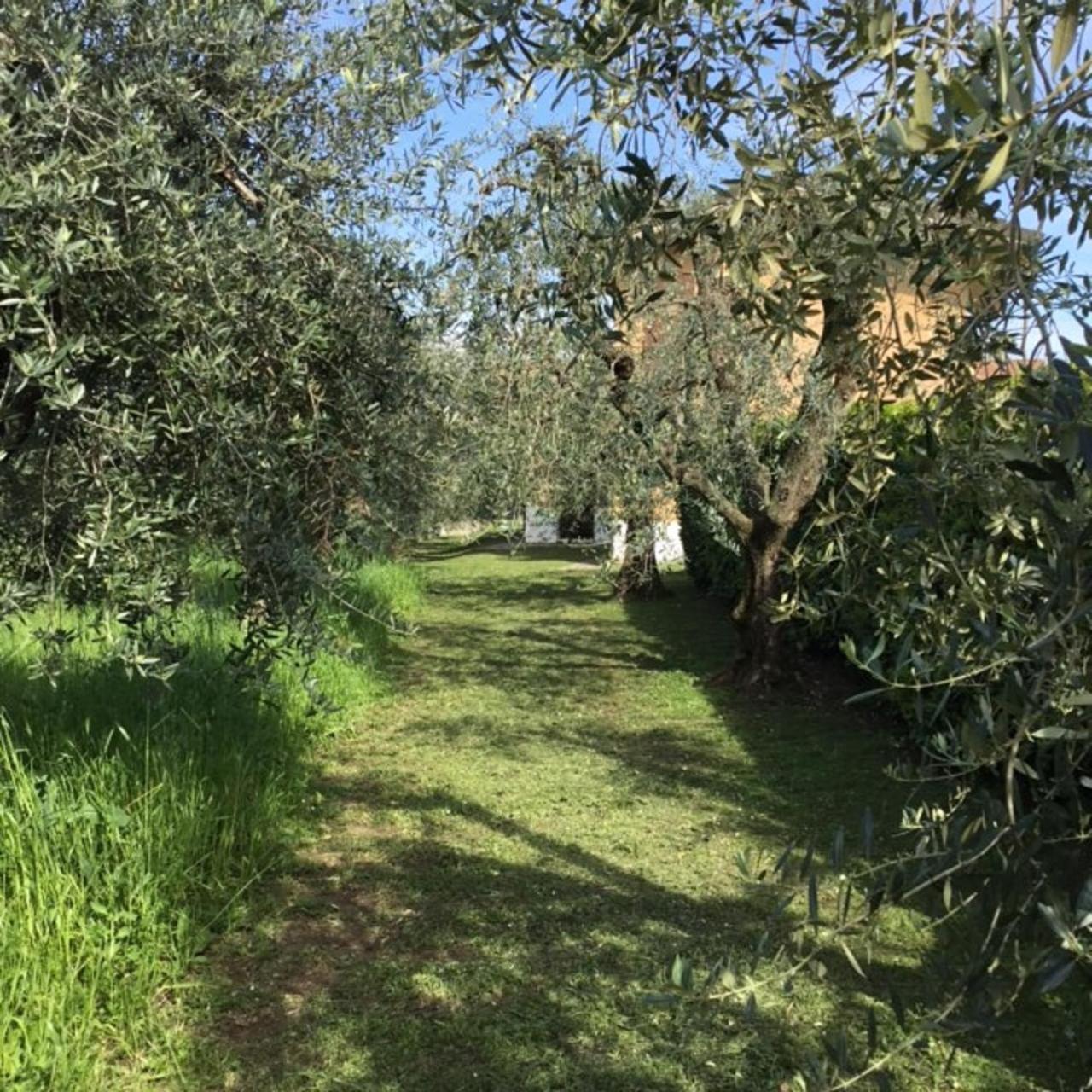 Bio Foresteria Manerba del Garda Exterior foto